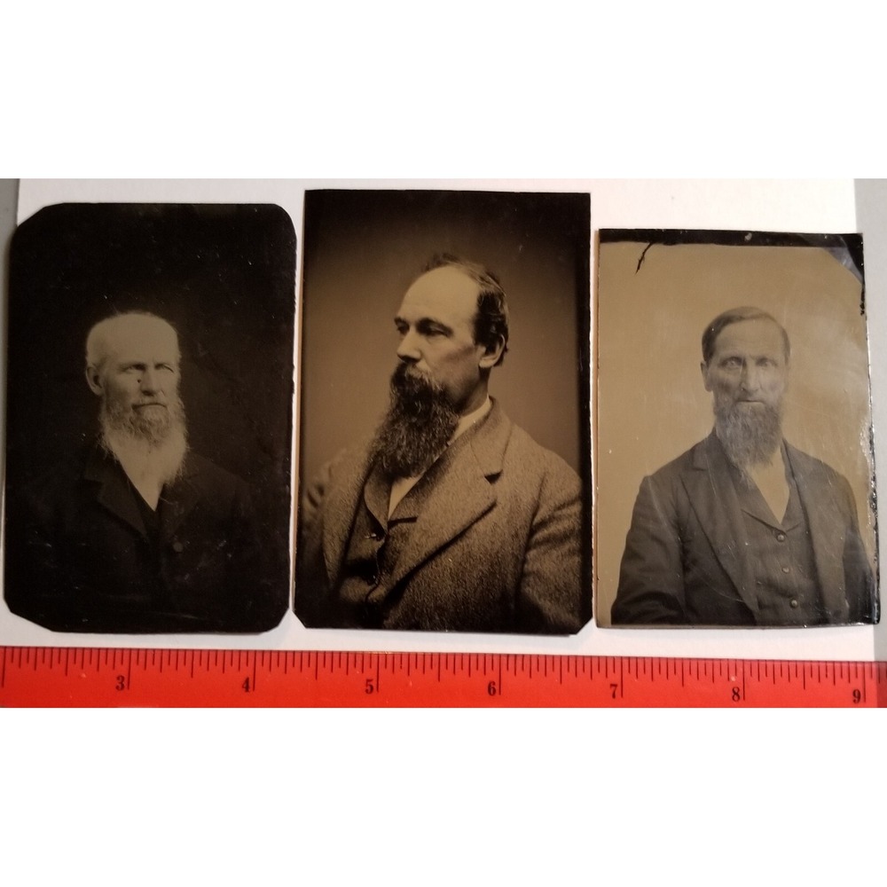 Antique Tintype Photographs Three Handsome Bearded Men Portrait 1/6 th Plate